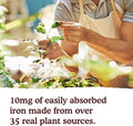 Garden Of Life Organics Plant Iron and Organic Herbs Organic PlantSourced Iron + Herbs (CranberryLime Liquid) 8Oz Liquid