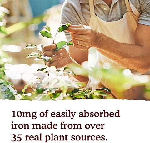 Garden Of Life Organics Plant Iron and Organic Herbs Organic PlantSourced Iron + Herbs (CranberryLime Liquid) 8Oz Liquid