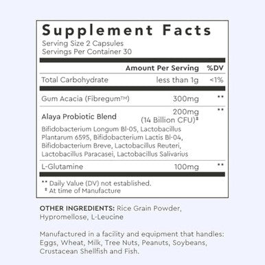 Alaya Naturals Advanced Synbiotic 60 Capsules