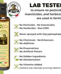 Papa Vince Olive Oil Extra Virgin - First Cold Press Family Harvest 2024/25, Polyphenol Rich, Subtle Peppery Finish, Unrefined, High in Monounsaturated Fat, No Pesticides, No GMO, Sicily, Italy