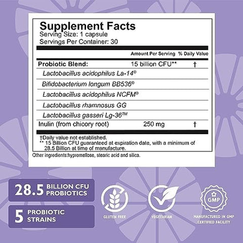 Celebrate Vitamins Bariatric Bundle CelebrateONE Multivitamin Iron with Vitamin C Chewables and Balance Probiotic + Prebiotic Essential Nutrition and Digestive Support for WLS Recovery