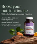 New Chapter Men'S Multivitamin For Immune Stress Heart + Energy Support With Fermented Nutrients - Every Man'S One Daily Made With Organic Vegetables & Herbs Non-Gmo Gluten - 72 Ct