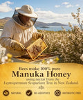 Manuka Honey for Wounds, Wound Healing Ointment for Cuts, Scrapes, Burns, Foot Ulcers and Scars, Fast Relief & Skin Repair, Non-Sticky, No Crystallization, 1.06 oz