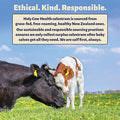 Holy Cow Health Colostrum Chewable Tablets Highly Bioactive Colostrum