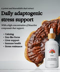 Rainbo Alcohol Mushroom Bundle Reishi Mushroom Extract + Turkey Tail Mushroom Tincture Dail Tinctures For Comprehensive Immune Support Vegan Liquid Mushroom Supplements