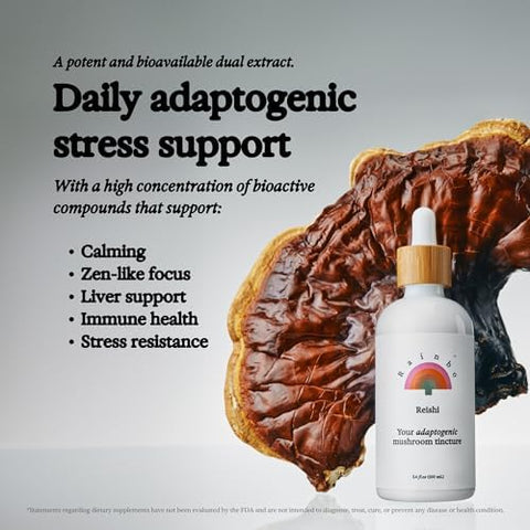 Rainbo Longevity Bundle Reishi Mushroom Extract + Chaga Mushroom Tincture Dual Extract Daily Mushroom Tinctures For Comprehensive Immune Support Vegan Liquid Mushroom Supplements
