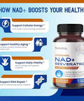 Nad+ Resveratrol 6,000Mg Quercetin 2000Mg Fisetin Black Pepper Healthy Aging Support Energy Levels Support 120-Day Supply Made In The Usa