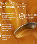 Comvita Manuka Honey UMF 18+ (MGO 696+) - Raw Manuka Honey New Zealand, Pure & Unpasteurized, Superfood for Immune Health, Use in Tea, Wild, Monofloral, Non-GMO - 250g (8.8 oz)