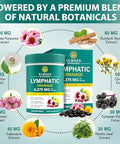 Echoes Of The Spring Lymphatic Drainage Supplements 4275Mg Lymph System Support Supplement For Women & Men Daily Wellness Support 21-In-1 Herbal Blend With Echinacea Dandelion Burdock Turmeric & More 240 Softgels