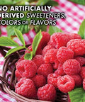 Bluebonnet Nutrition Earth Sweet Vitamin B12 1000 Mcg & Folic Acid 400Mcg Brain Health & Energy Vitamins For Women & Men Vegan Gluten Raspberry B 12 Vitamin 180 Chewable Tablets