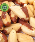 PuroRaw Brazil Nuts Raw 1lb, Raw Brazil Nuts. Brazil Nuts Unsalted - Brazil Nuts- All Natural, Non-GMO, Vegan Brazil Nuts- Brazil Nuts Bulk 16oz