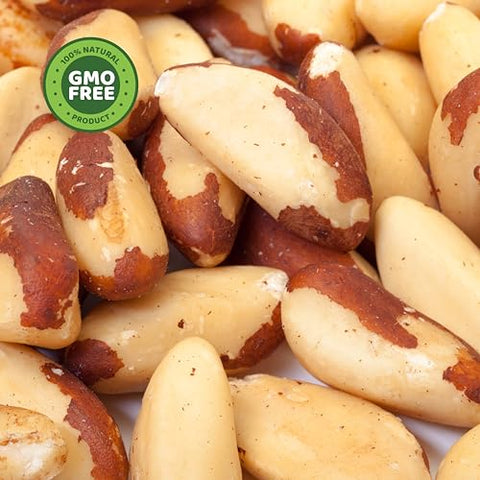PuroRaw Brazil Nuts Raw 1lb, Raw Brazil Nuts. Brazil Nuts Unsalted - Brazil Nuts- All Natural, Non-GMO, Vegan Brazil Nuts- Brazil Nuts Bulk 16oz