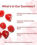 Micro Ingredients Multi Collagen Peptides 120 Collagen Gummies Type IIiIiiVX Protein With Biotin Hyaluronic Acid & Vitamin C Complex Pomegranate & Berry Flavored Sugar Free Non-Gmo