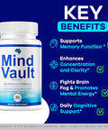 Livorka (2 Pack) Mind Vault Capsules 120 Capsules 2 Pack