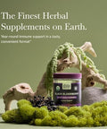 Gaia Herbs Black Elderberry Adult Daily Gummies Delicious Immune Support Supplement Made With Organic Black Elderberries For Immune System Support 80 Gummies (40Day Supply)