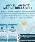 Ellamentz Marine Collagen Gummies For Women - Hydrolyzed Marine Collagen Peptides With Prebiotics & ProbioticsHyaluronic Acid NiacinamideVitamin C Supplement For Hair Nail Sk N J Int Health 120 Counts