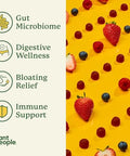 Plant People Wonderbiome 2-In-1 Prebiotic + Probiotic Gummies â€“ Zero-Sugar Vegan Digestive Health & Bloating Relief â€“ 5 Billion Cfu Bacillus Subtilis De111 + Artichoke & Chicory â€“ 60 Count