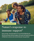 Gaia Herbs Black Elderberry Adult Daily Gummies Delicious Immune Support Supplement Made With Organic Black Elderberries For Immune System Support 80 Gummies (40Day Supply)