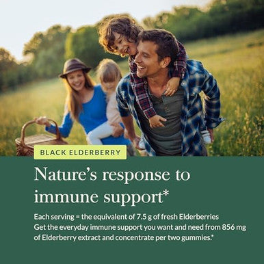 Gaia Herbs Black Elderberry Adult Daily Gummies Delicious Immune Support Supplement Made With Organic Black Elderberries For Immune System Support 80 Gummies (40Day Supply)