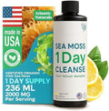Atlantic Naturals - 1 Day Colon Cleanse Full Body Detox Drink - Sea Moss Supplement For Women & Men Gut Health Kidney & Liver Immune Energy Enhancer Gut Cleanse - Lemon Flavor Juice 8 Fl Oz