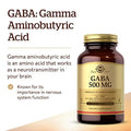 Solgar Gaba 500 Mg 100 Vegetable Capsules - Relaxation & Nervous System Support - Amino Acid - Non-Gmo Vegan Gluten Free Dairy Free Kosher 100 Servings