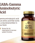 Solgar Gaba 500 Mg 100 Vegetable Capsules - Relaxation & Nervous System Support - Amino Acid - Non-Gmo Vegan Gluten Free Dairy Free Kosher 100 Servings