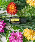 Doterra - Bergamot Essential Oil 15 Ml