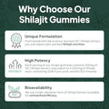 Shilajit For Men And Women - Natural Shilajit Supplement With Vitamin B12, Chromium And Selenium For Age-Defying, Energy, Hormone Support And More - 60 Shilajit Gummies