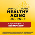 Nature Made Fish Oil Omega 3 Supplements 2000Mg Per Serving Softgels Omega 3 Fish Oil For Healthy Heart Support 250 Softgels 125 Day Supply