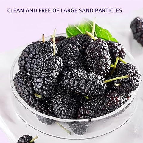 Food to Live Dried Black Mulberry, 5.3oz (150g) - Vegan | Juicy Sweet-Tart Superfruit for Snacks, Smoothies & Baking | Raw, No Sugar Added, Resealable Bulk Bag
