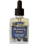 Allways Drops Natural Blueberry Water Enhancer | Sugar-Free, Zero Calories, Monk Fruit Sweetened | Glass Bottle for On-the-Go Hydration | Kids & Adults | 50 Servings