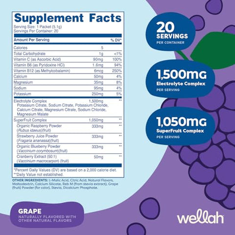 Wellah Splish Splash Hydration (Grape Flavor) 20 Stick Packs - Electrolyte Drink Mix With Superfruit Complex
