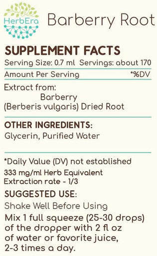 Barberry Root B120 Alcohol-Free Herbal Extract Tincture, Concentrated Liquid Drops Natural Barberry (Berberis Vulgaris) (2x4 fl oz)