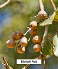 Banyan Botanicals Bibhitaki Powder - Certified Organic, 1/2 Pound - Terminalia Belerica - Detoxification And Rejuvenation For Kapha*