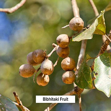 Banyan Botanicals Bibhitaki Powder - Certified Organic, 1/2 Pound - Terminalia Belerica - Detoxification And Rejuvenation For Kapha*