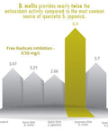 Quercetin Capsules - Naturally Derived - Maximum Antioxidant Action - UK Made - from Synthetic Additives - Vegan - Pullulan (120 Capsule Pouch)