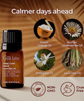Gya Labs Deep Calm Essential Oil Blend For Relaxation & Emotional Balance - 0.34 Fl Oz - Calm Aromatherapy Oils For Diffusers Humidifiers Aromatherapy - Suitable For Work Home Or Personal Use