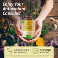 Herbamama Pine Bark And Boswellia Turmeric Kit - Bundle Of French Maritime Capsules & Boswellia Turmeric Capsules - Vegan Non-Gmo Gelatin- - 2 Pack