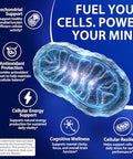 Echoes Of The Spring Methylene Blue Gummies 60 Count 5Mg Per Gummy 99.9% Pure Methylene Blue Supplement Supports Cognitive Function Mental Focus & Cellular Energy Antioxidant Support Vegan Non-Gmo Daily Supplement