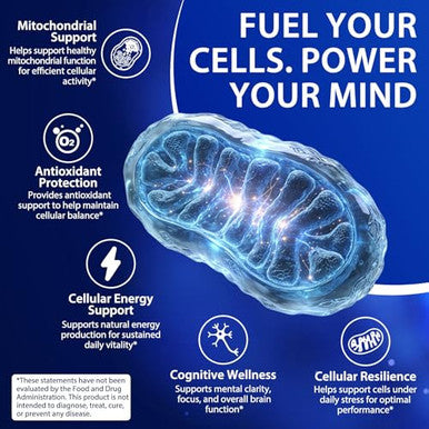 Echoes Of The Spring Methylene Blue Gummies 60 Count 5Mg Per Gummy 99.9% Pure Methylene Blue Supplement Supports Cognitive Function Mental Focus & Cellular Energy Antioxidant Support Vegan Non-Gmo Daily Supplement