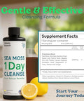 Atlantic Naturals 1 Day Colon Cleanse Full Body Detox Drink Sea Moss Supplement for Women and Men Gut Health Kidney and Liver Immune Energy Enhancer Gut Cleanse Lemon Flavor Juice 8 fl oz