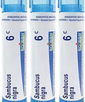 Boiron Sambucus Nigra 6C Homeopathic Elderberry Medicine For Hoarseness With Painful Cough And Nasal Congestion Pack Of 3 (240 Pellets)