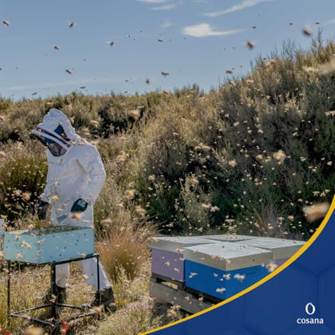 Cosana Manuka Honey 550 MGO + 250g Ã¢â‚¬â€œ 100% Pure - Bottled, sealed, and certified in New Zealand