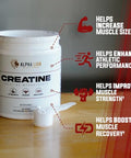 Alpha Lion Creatine Monohydrate Powder 5000Mg Per Serving (5G) Supports Muscle Strength Power Athletic Performance Pure Creatina Monohydrata En Polvo Supplement (60 Servings Unflavored)