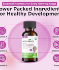 Wellements Organic Baby Multivitamin Drops (1 Fl Oz) Cherry Flavor Liquid Multivitamins for Infants and Toddlers (2 Months+) Toddler Vitamins for Immune Support* Healthy Growth and Bone Development*