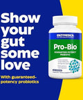 Enzymedica Probio Shelf Stable Stomachacid Resistant Probiotic For Healthy Digestion 10 Billion Cfu 120 Count