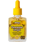 Allways Drops Natural Blueberry Water Enhancer | Sugar-Free, Zero Calories, Monk Fruit Sweetened | Glass Bottle for On-the-Go Hydration | Kids & Adults | 50 Servings