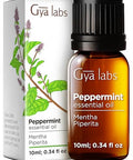 Gya Labs Sweet Orange Essential Oil For Diffuser & Peppermint Oil For Diffuser Set - Aromatherapy Grade Essential Oils Set - 2X0.34 Fl Oz - Gya Labs