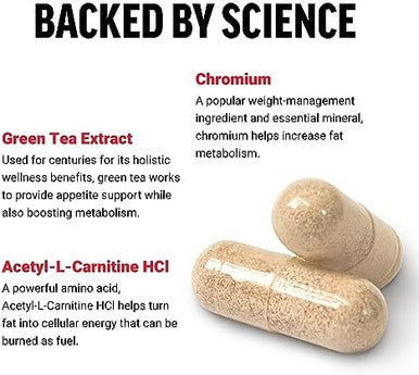Force Factor Women'S Fat Burner Metabolism Booster And Weightloss Supplement Support Green Tea Fat Burner Weightloss Pills To Help With Energy Diet And Exercise Vegan Nongmo 60 Capsules