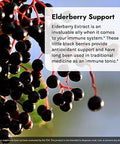 Irwin Naturals Immuno Shield With Elderberry 60 Sgels